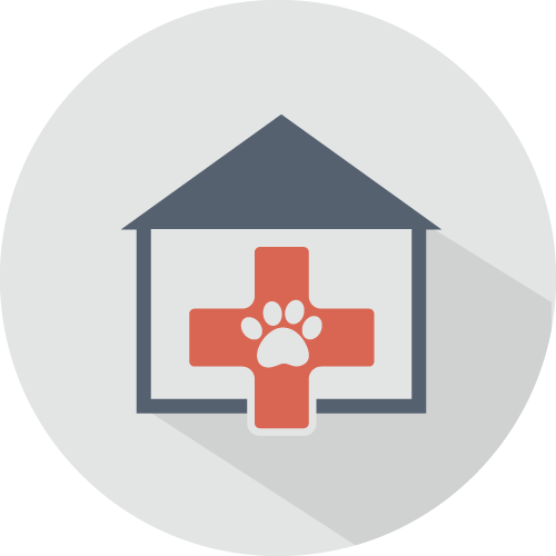 Animal Hospitals using LOL Online Learning Platform