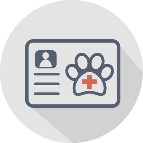 Veterinary Exam Prep using LOL Online Learning Platform